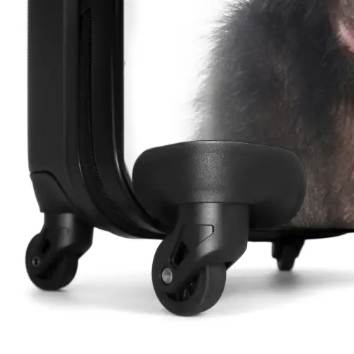 Charlie Chimp Koffer - NBS - Handbagage middel -wiel
