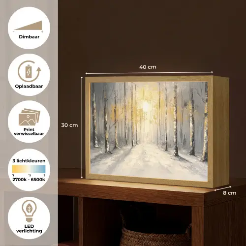 Winter - Abstract - Sneeuw - Natuur - Zon Light Box met batterij (Wandlamp) middel -USP_websiteoverzichtNL