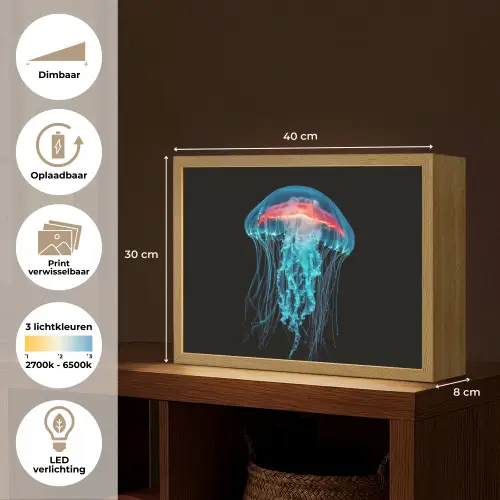 Kwal - Tentakels - Blauw - Licht Light Box met batterij (Wandlamp) middel -USP_websiteoverzichtNL