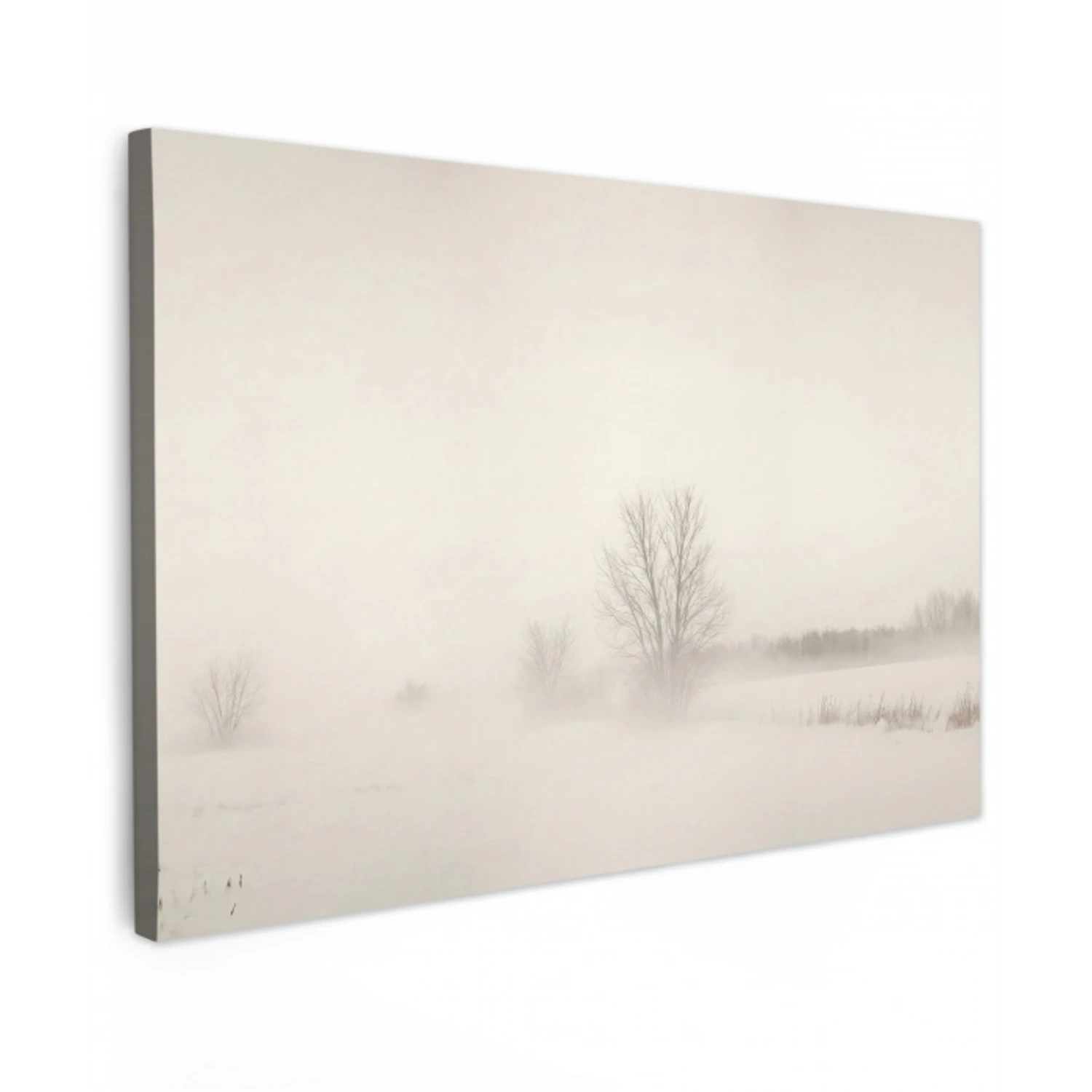 Boom - Mist - Sneeuw - Winter - Minimalistisch canvas 2cm klein -z3d