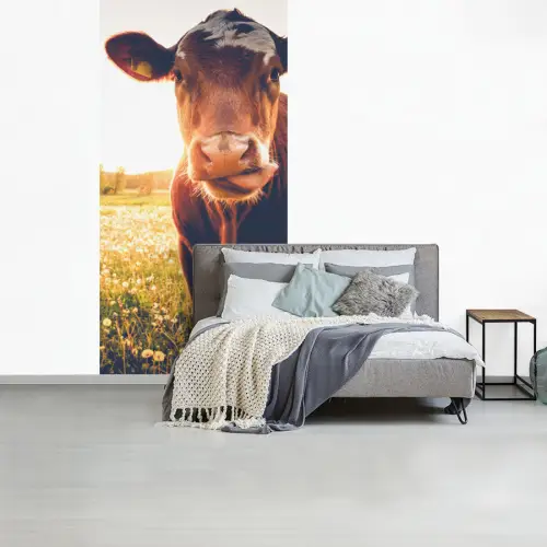 Koe - Zonsondergang - Bloemen - Gras - Dieren fotobehang vinyl groot -slaapkamer