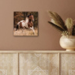 Paard - Bruin - Gras aluminium wit klein -sfeer4