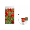 Bloemen - Klaprozen - Natuur - Rood fotobehang vinyl groot -3d