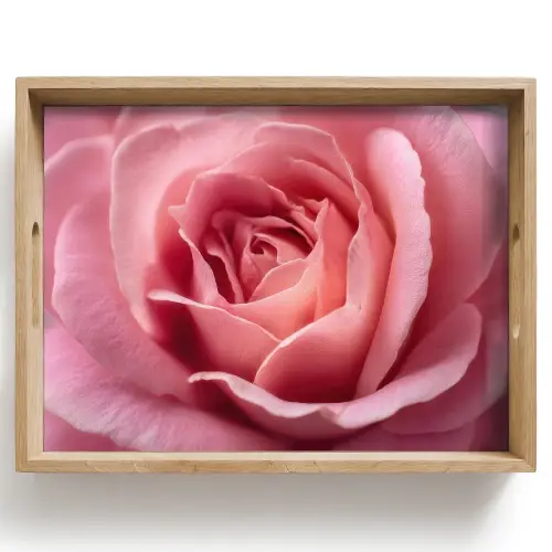 Roze - Roos - Romantisch Dienblad Rechthoek middel -z3d_shopping