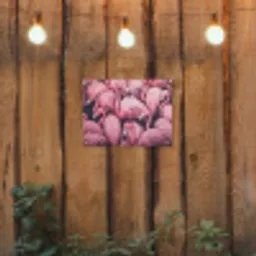Flamingo - Roze - Dieren tuinposter los doek klein -sfeer1