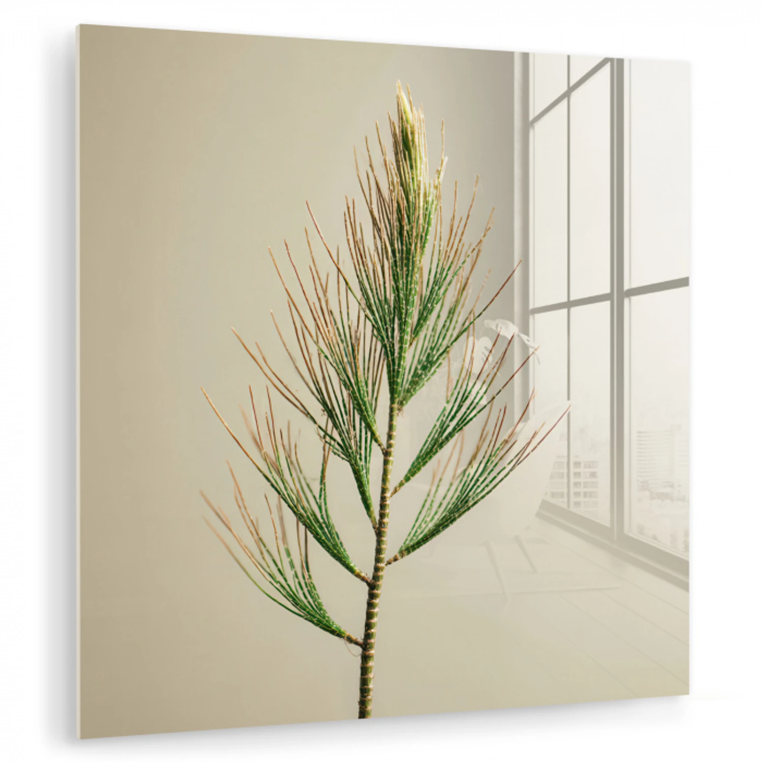 Dennentak - Naaldvormige bladeren - Lichtgroen plexiglas 5mm klein -zzzproduct_nieuw