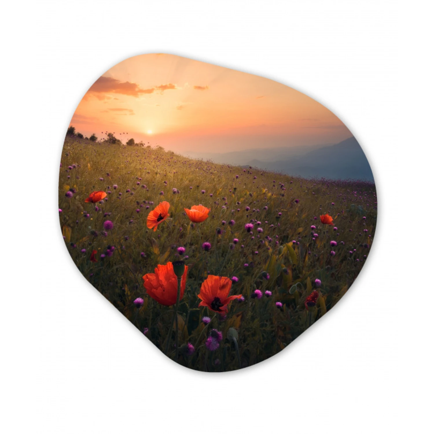 Bloemenveld - Gras - Bloemen - Planten - Zonsondergang - Oranje Wandcirkel Organisch Forex 3mm klein -3d