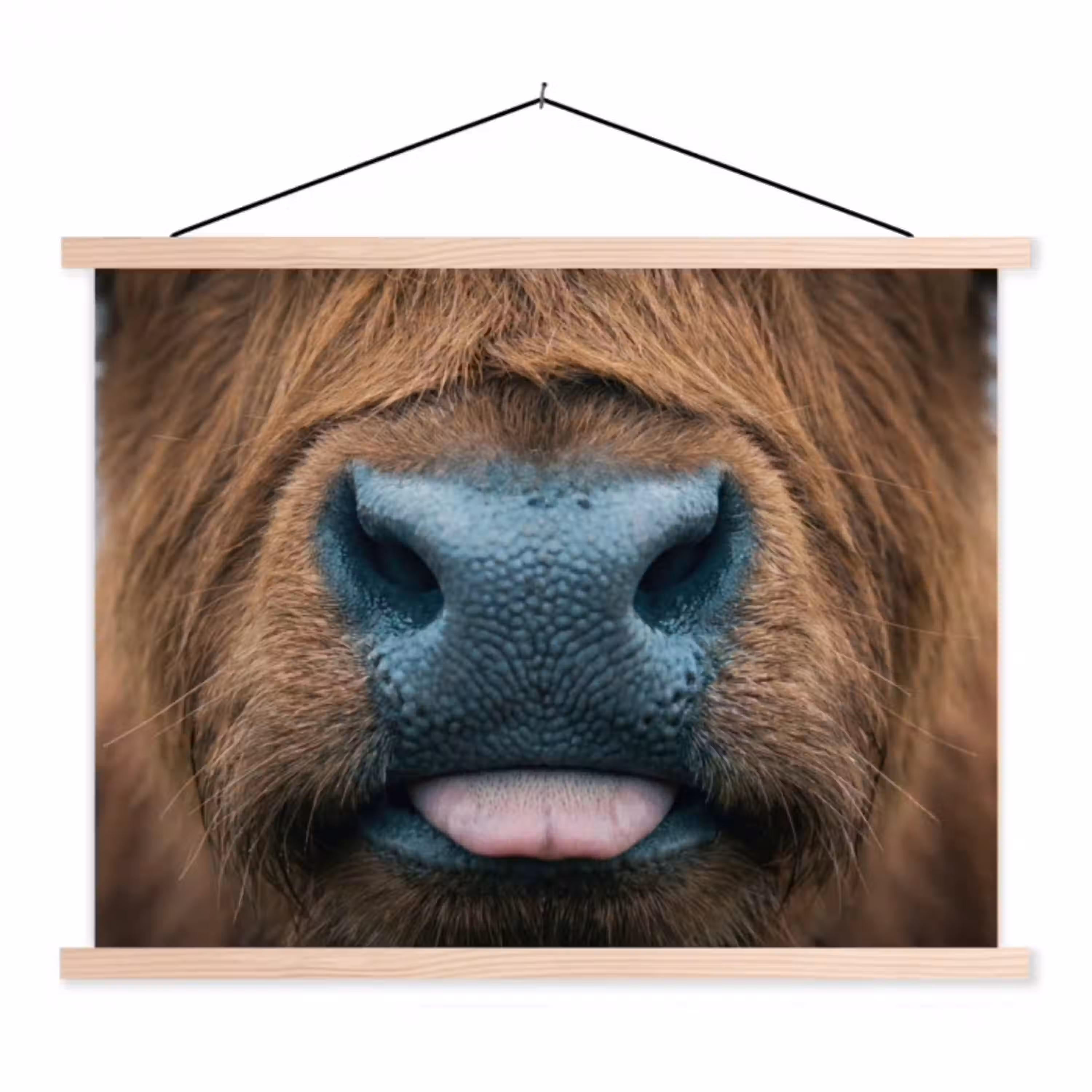 Schotse hooglander - Neus - Bruin textielposter latten blank klein -3d