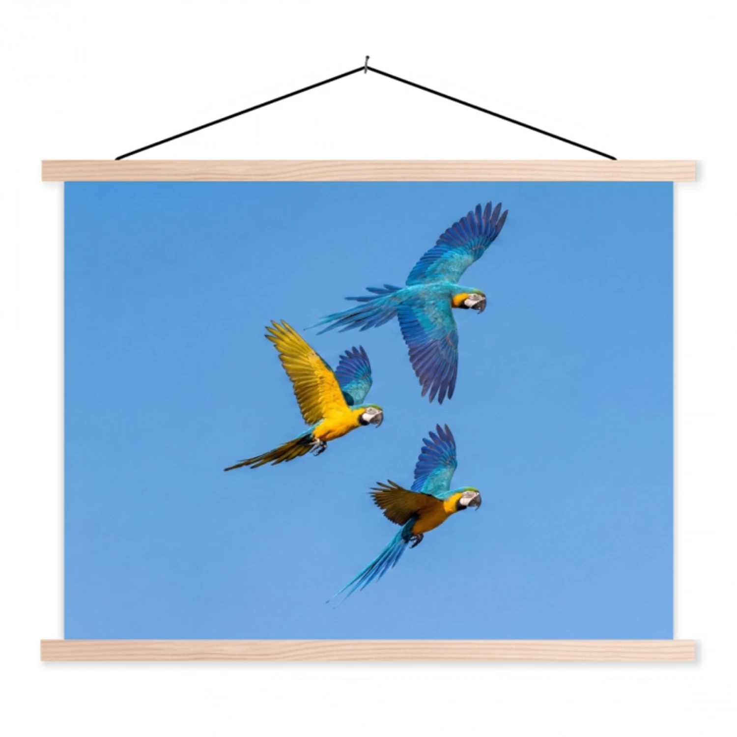 Papagaai - Vliegen - Blauw - Geel textielposter latten blank klein -3d