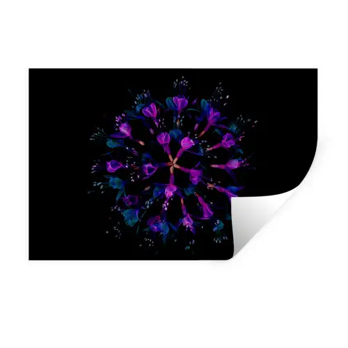 Bloem - Paars - Blauw - Macro - Zwart Muursticker klein -3d