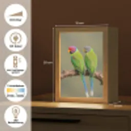 Papagaai - Tak - Natuur - Kleurrijk Light Box met kabel (Kinderlampje) klein -USP_DE