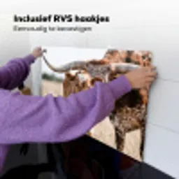 Texas Longhorn - Kalf - Weide - Dieren Inductie beschemer met haakjes klein -ky-ophangen-nl