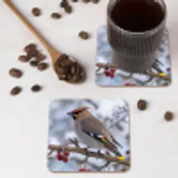 Pestvogel - Bessen - Winter - Natuur onderzetter kurk middel -sfeer2
