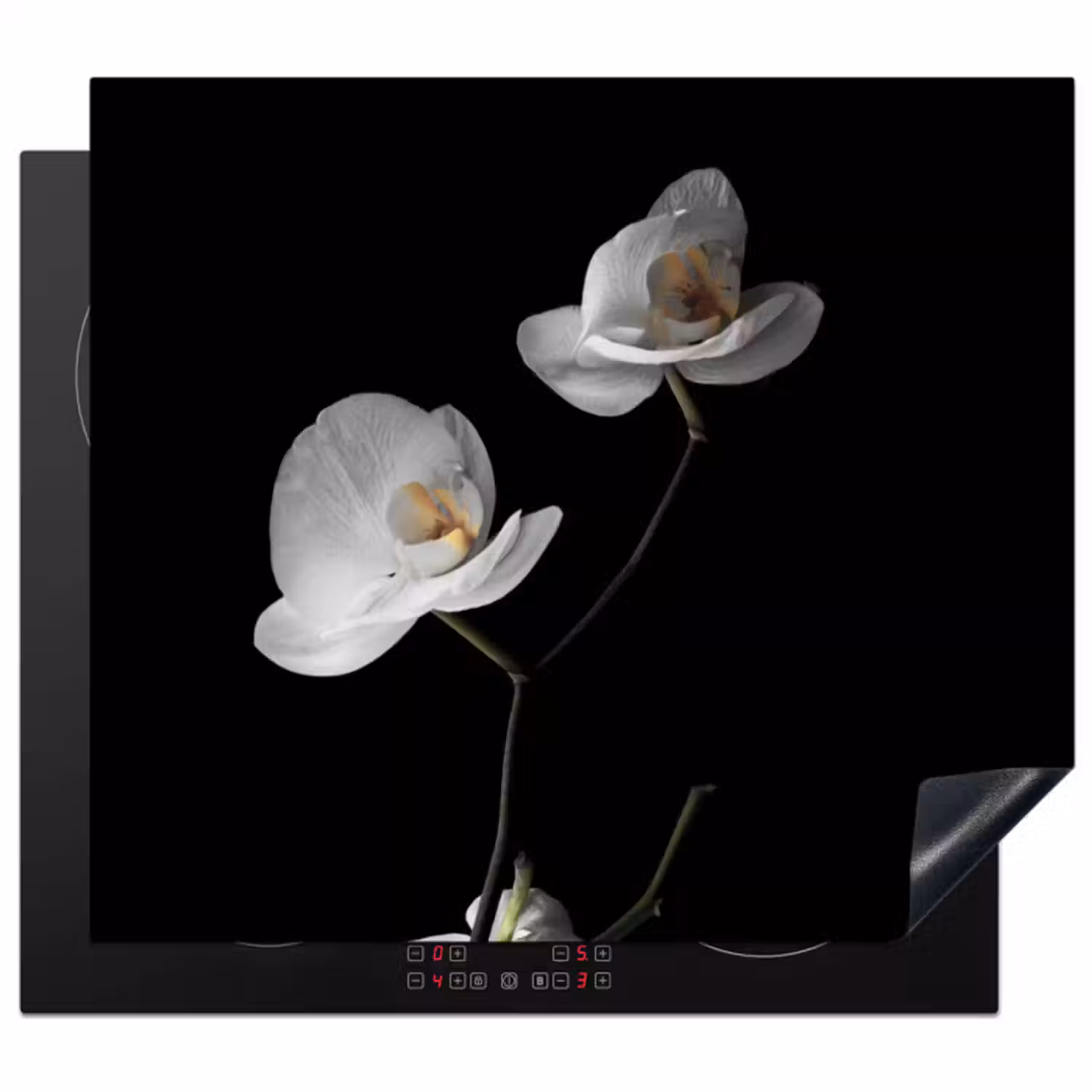 Inductie beschermer - Nachtelijke Orchidee Elegance