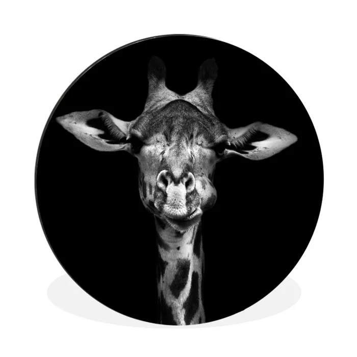 Giraffe - Portret - Dieren - Zwart - Wit Wandcirkel aluminium klein -3d