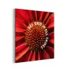 Close up - Bloem - Quote - Rood aluminium wit klein -3d