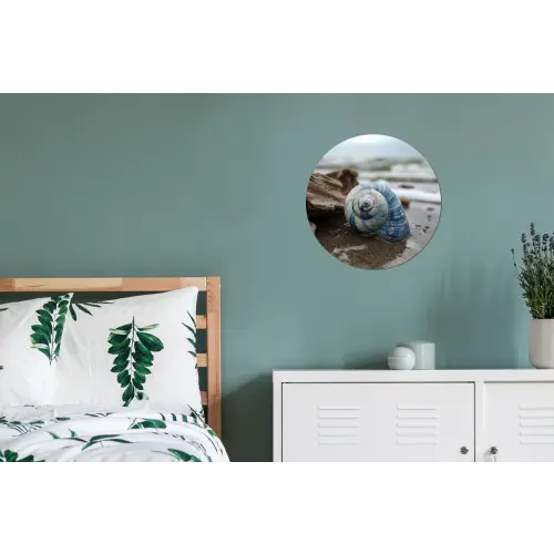 Schelp - Strand - Blauw - Zee Wandcirkel aluminium klein -slaapkamer