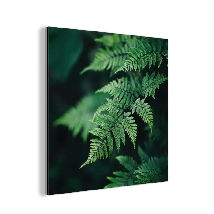 Varenblad - Groen - Structuur - Wazig aluminium wit klein -3d