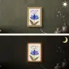Korenbloem - Valentijn - Bloem - Blauw Light Box met kabel (Wandlamp) klein -sfeer3