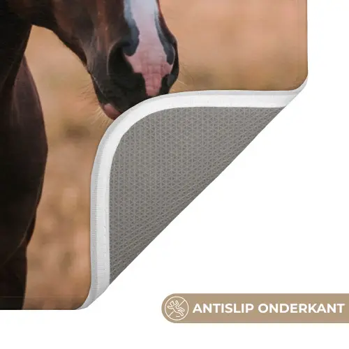 Paard - Zonsondergang - Bruin Badmat klein -USP_AntislipNL