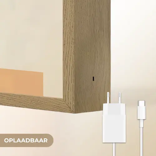Vrouw - Minimalistisch - Bloem Light Box met batterij (Wandlamp) middel -USP_websiteoplaadbaarNL