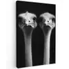Struisvogels - Halzen - Zwart - Minimalistisch canvas 2cm klein -z3d
