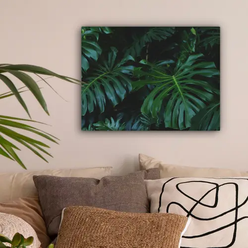 Monstera -  Inductie beschermer - Bladeren - Tropical - Afdekplaat voor kookplaat canvas 2cm klein -sfeer1