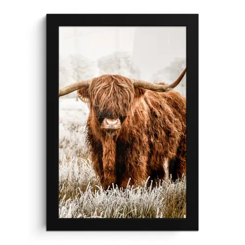 Schotse hooglander - Koe - Natuur - Winter fotolijst zwart zonder passe partout klein -3d