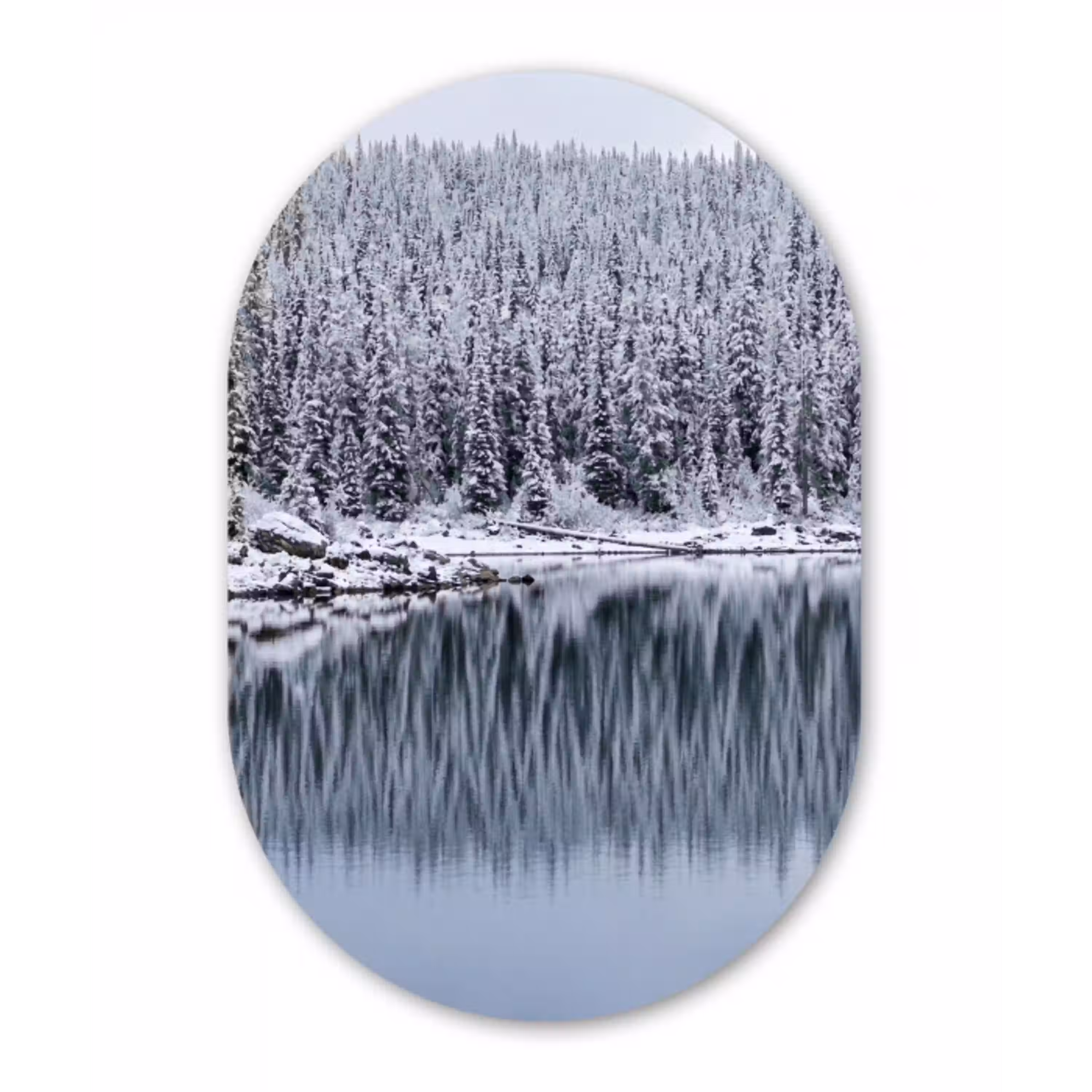 Bos - Reflectie - Meer - Winter - Serene Wandcirkel Ovaal Aluminium middel -3d
