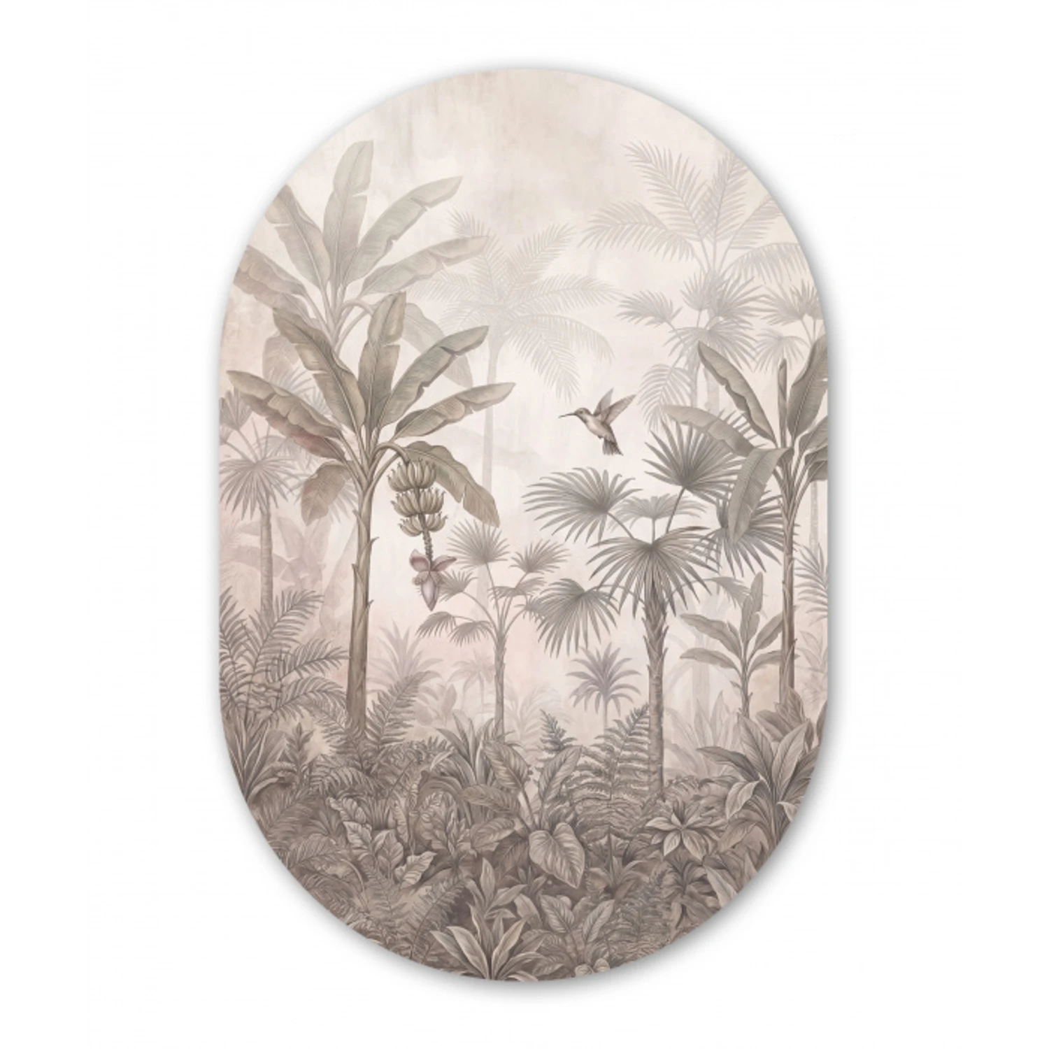 Jungle - Banenboom - Kolibrie - Beige Wandcirkel Ovaal Forex klein -3d