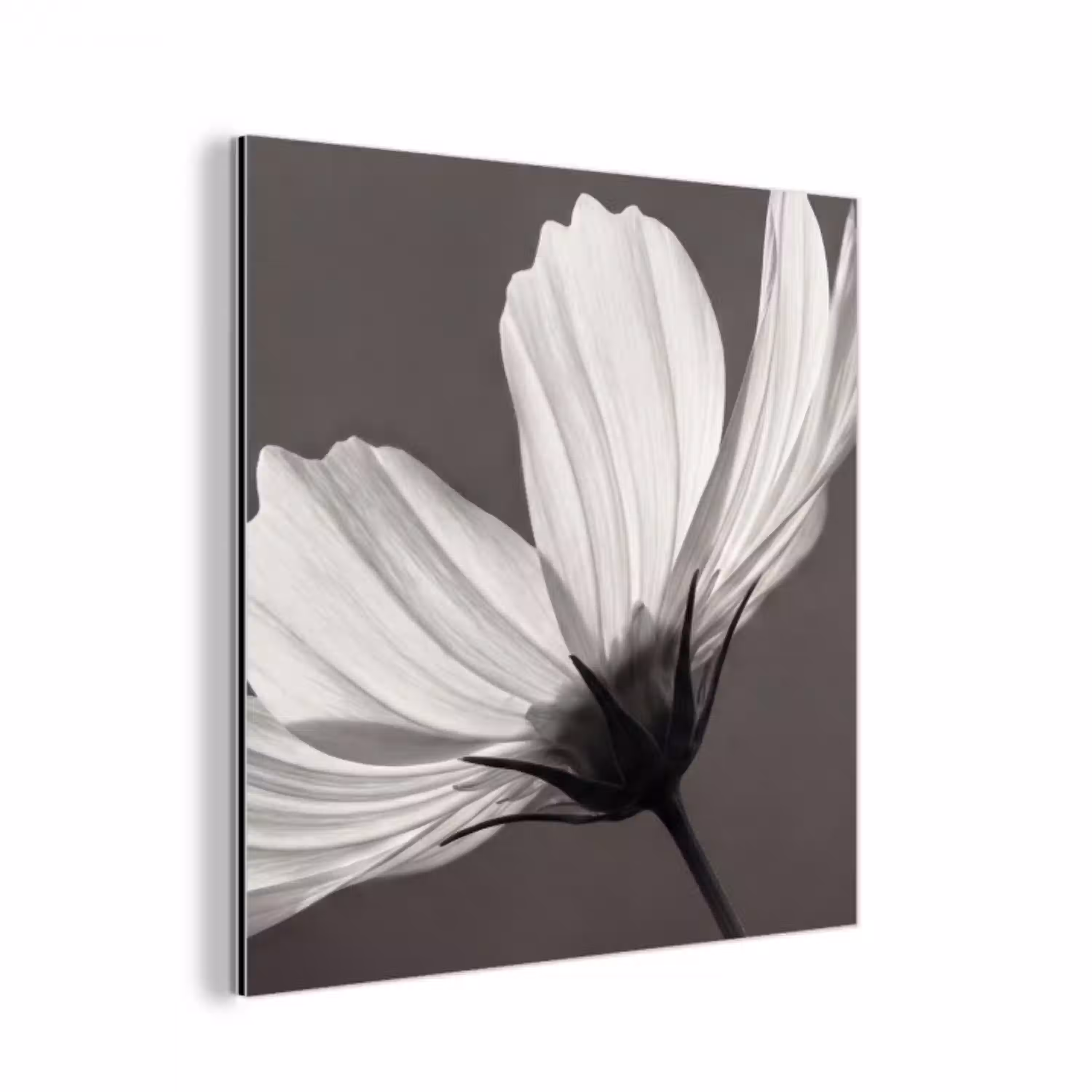 Bloem - Minimalistisch - Zwart - Wit aluminium wit klein -3d