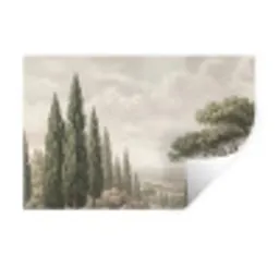 Vallei - Bos - Natuur - Groen Muursticker klein -3d