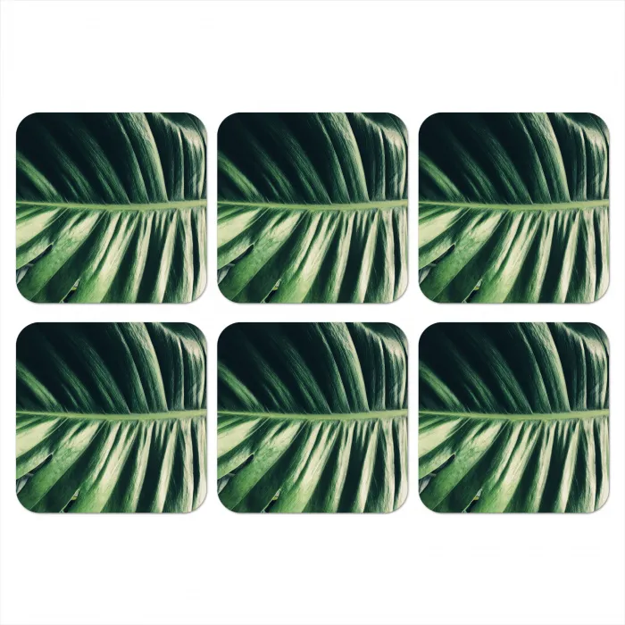 Tropisch - Inductie mat - Natuur - Inductie beschermer - Jungle onderzetter kurk middel -3d
