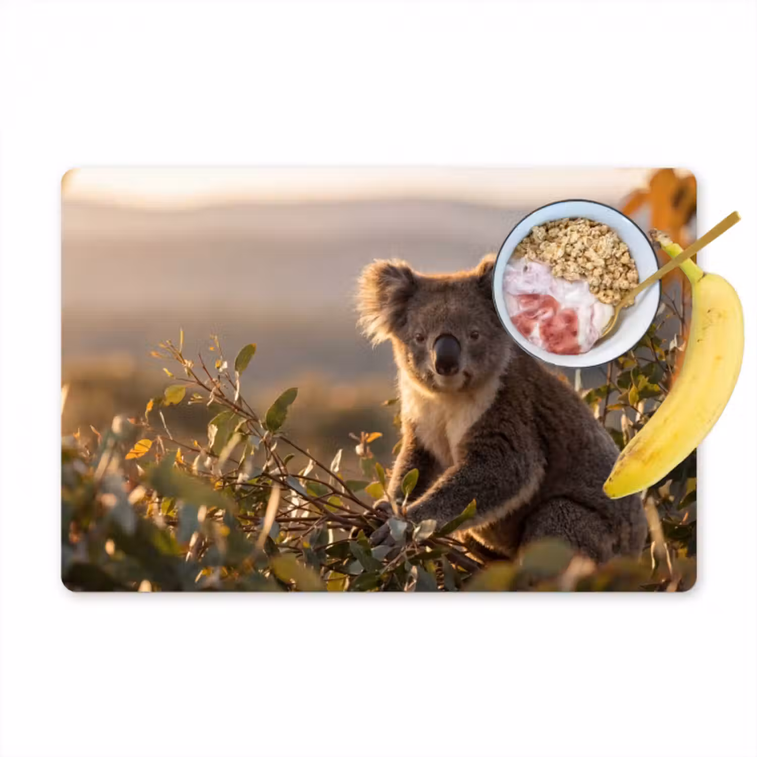 Tischset - 6 Stück - Koala - Blätter - Morgenlicht
