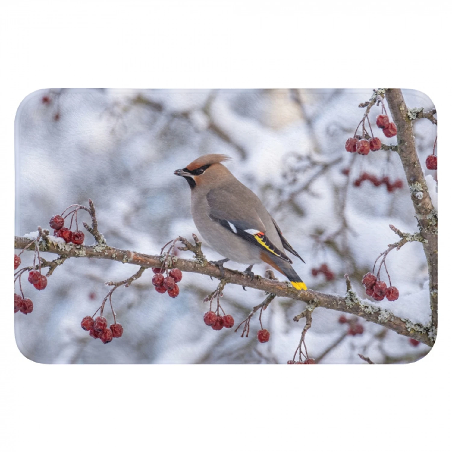 Pestvogel - Bessen - Winter - Natuur Badmat klein -3d