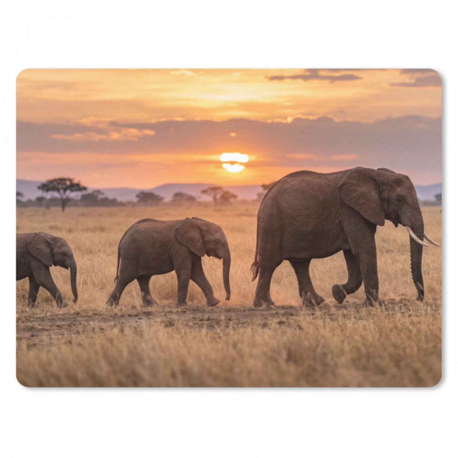 Olifanten - Savanne - Zonsondergang - Afrika - Warm muismat rubber klein -3d