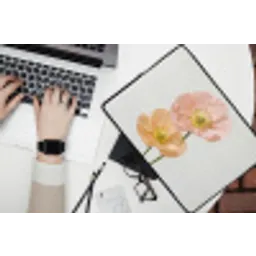 Papavers - Botanisch - Roze laptophoes neopreen klein -bureau