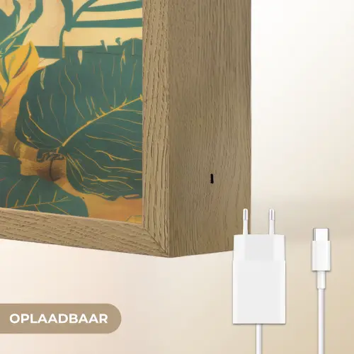 Vrouwelijk - Bloemen - Sieraden Light Box met batterij (Wandlamp) middel -USP_websiteoplaadbaarNL