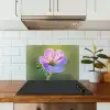Bloem - Close up - Paars keuken achterwand spatscherm klein -sfeer2