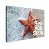 Sea you soon - Zeester - Zee Tuinposter op houten frame 2 cm dik klein -3d