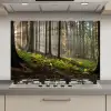 Zon - Takken - Bomen - Bos - Natuur keuken achterwand spatscherm klein -3d_website