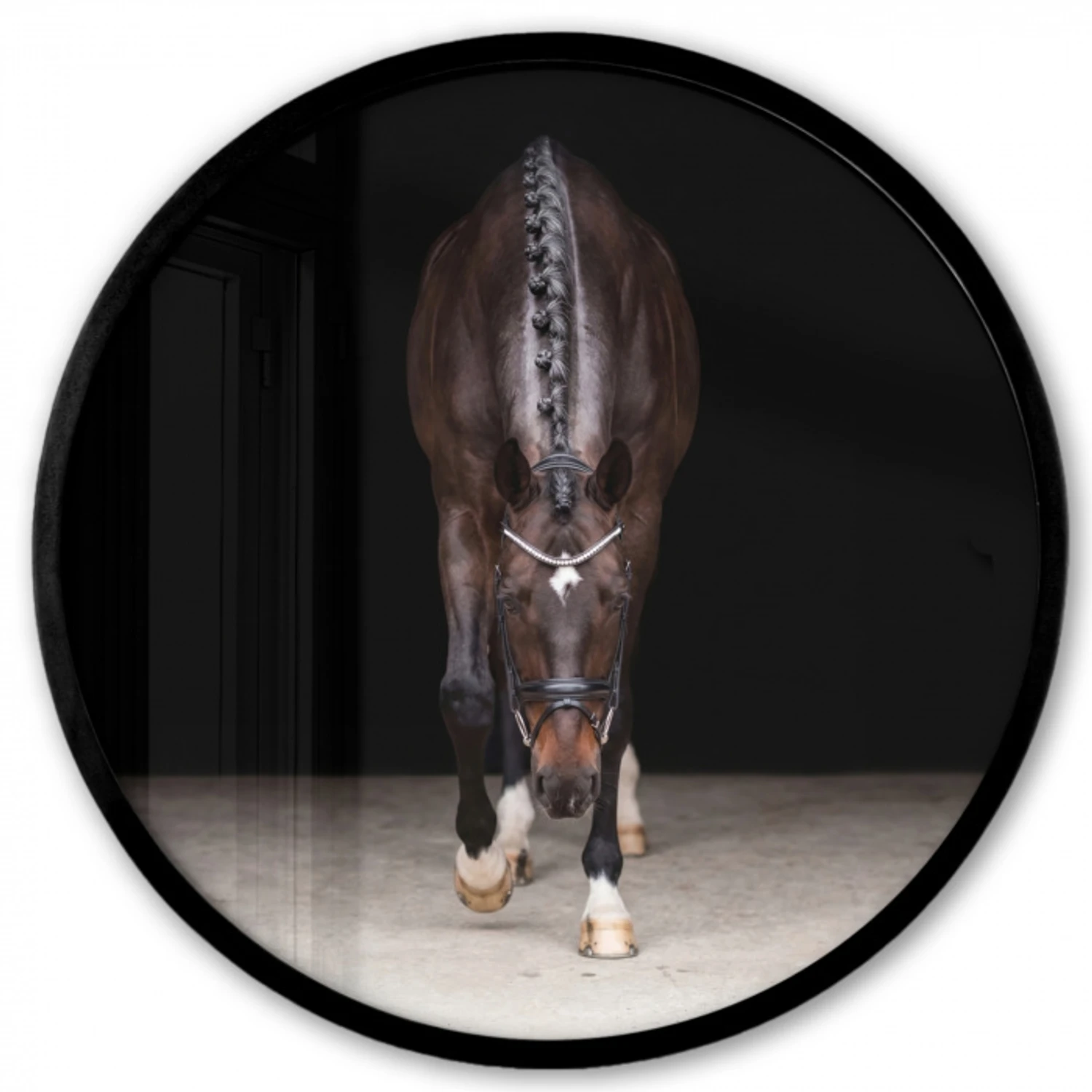 Paard - Modern - Portret Fotolijst rond zonder passe partout klein -3d