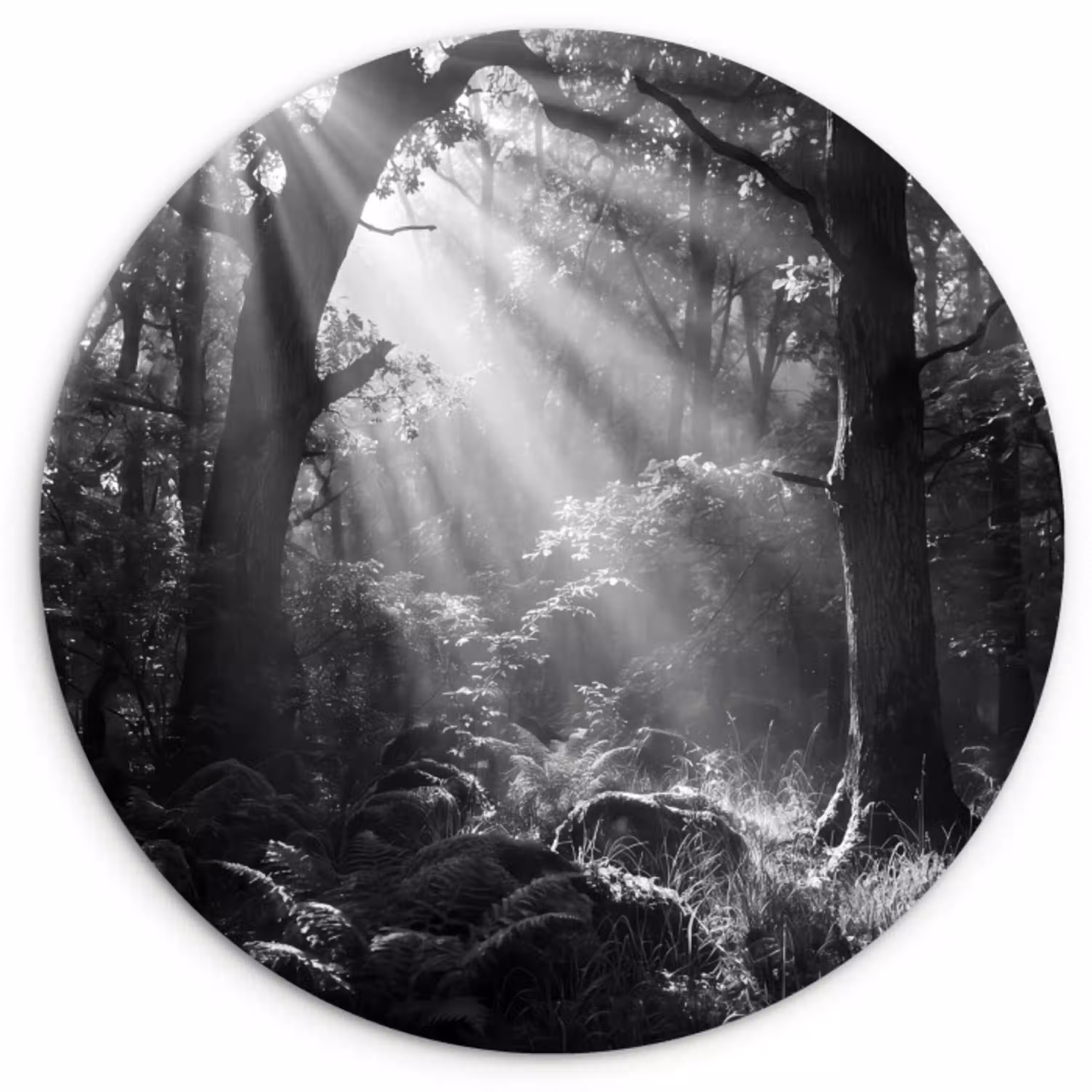 Bos - Lichtstralen - Natuur - Zwart-wit Wandcirkel kunststof plaat 5mm dik klein -3d