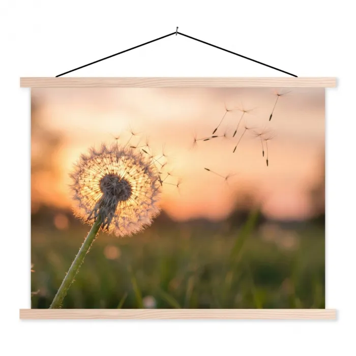 Paardenbloem - Zonsondergang - Veld textielposter latten blank klein -3d