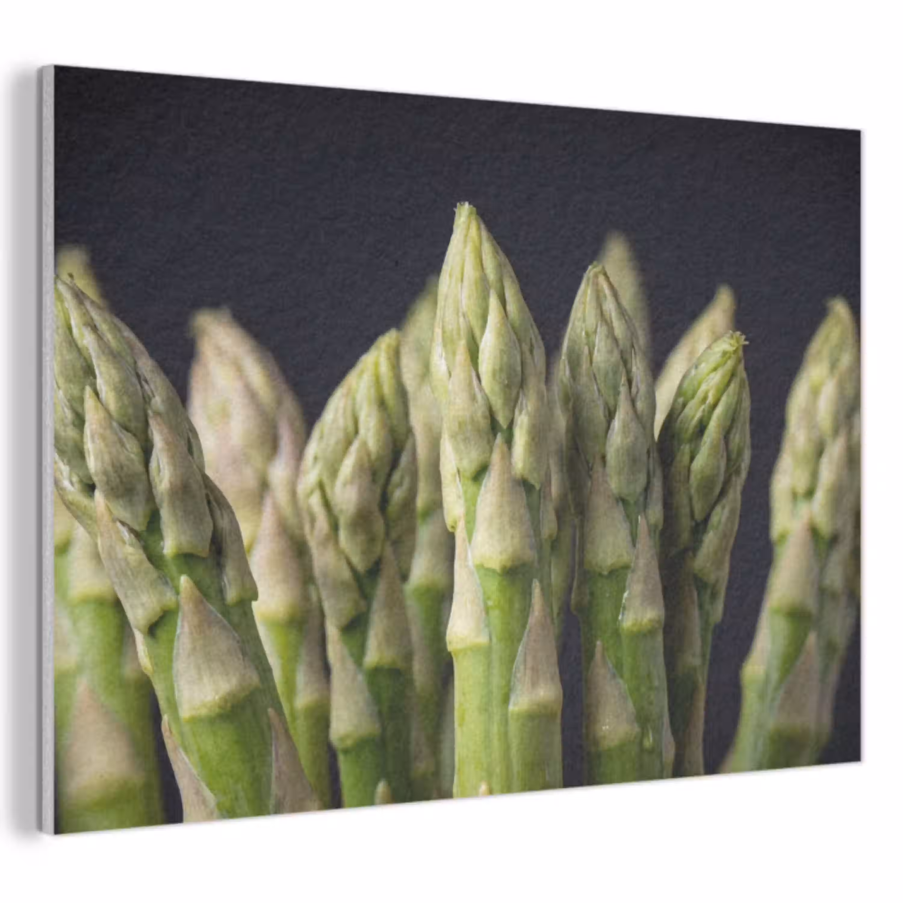 Asperges - Groen - Zwart PET vilt klein -3d
