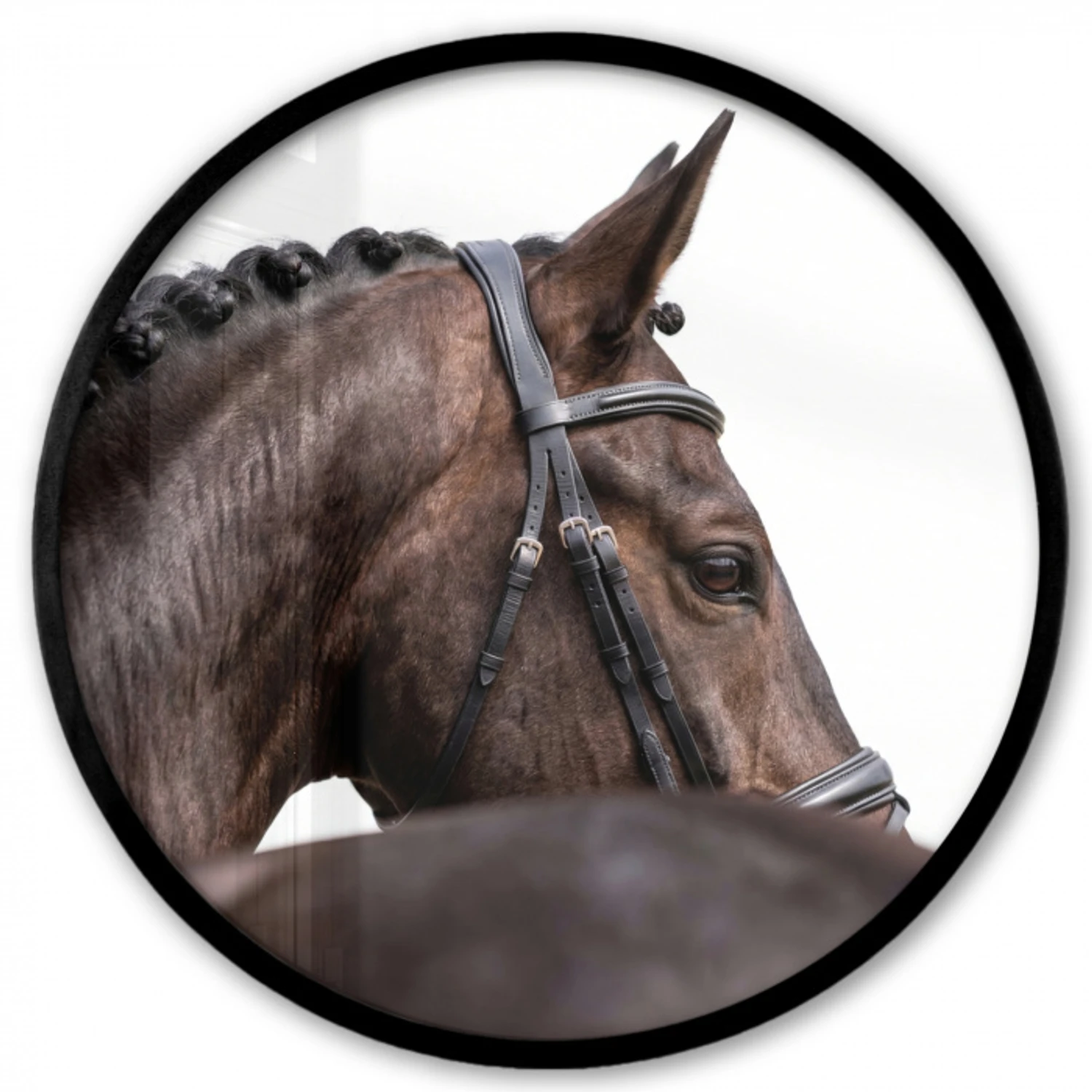 Portret - Paard - Elegant Fotolijst rond zonder passe partout klein -3d