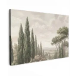 Vallei - Bos - Natuur - Groen canvas 2cm klein -z3d