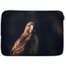 Roofvogel - Buizerd - Bruin laptophoes neopreen klein -zkaufland3dotto