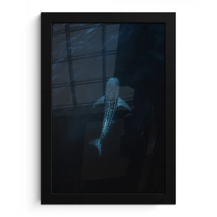 Oceaan - Walvishaai - Donkerblauw - Vlekken fotolijst zwart zonder passe partout klein -3d