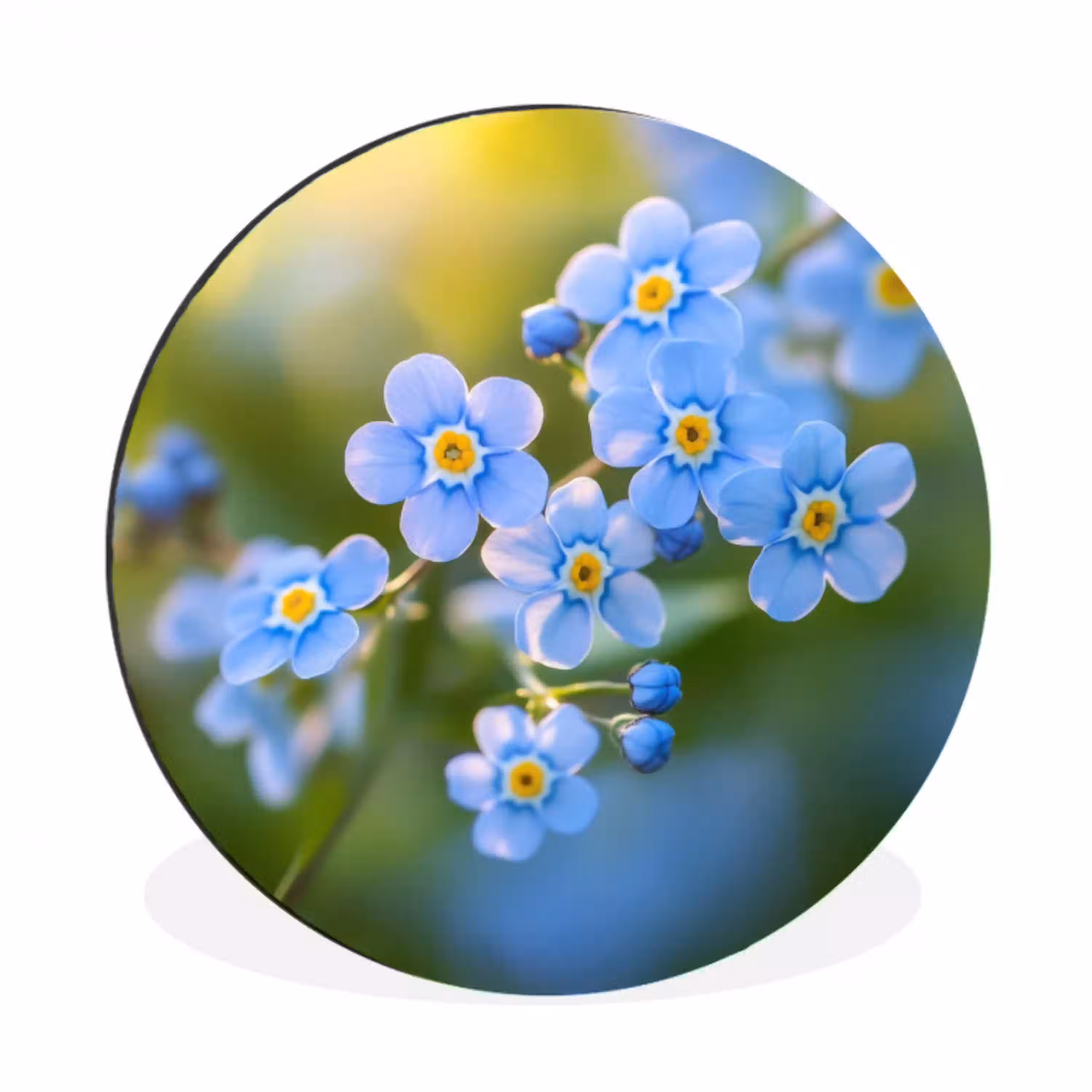Bloemetjes - Blauw - Vergeet mij nietjes Wandcirkel aluminium klein -3d
